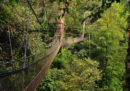 Nationaal Park Gunung Mulu